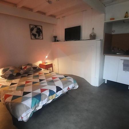 Apartamento Promo24-31Mai 4Personnes Toulouse 15Mn 4 Lits Cuisine Sde Wc Montastruc-la-Conseillère Exterior foto
